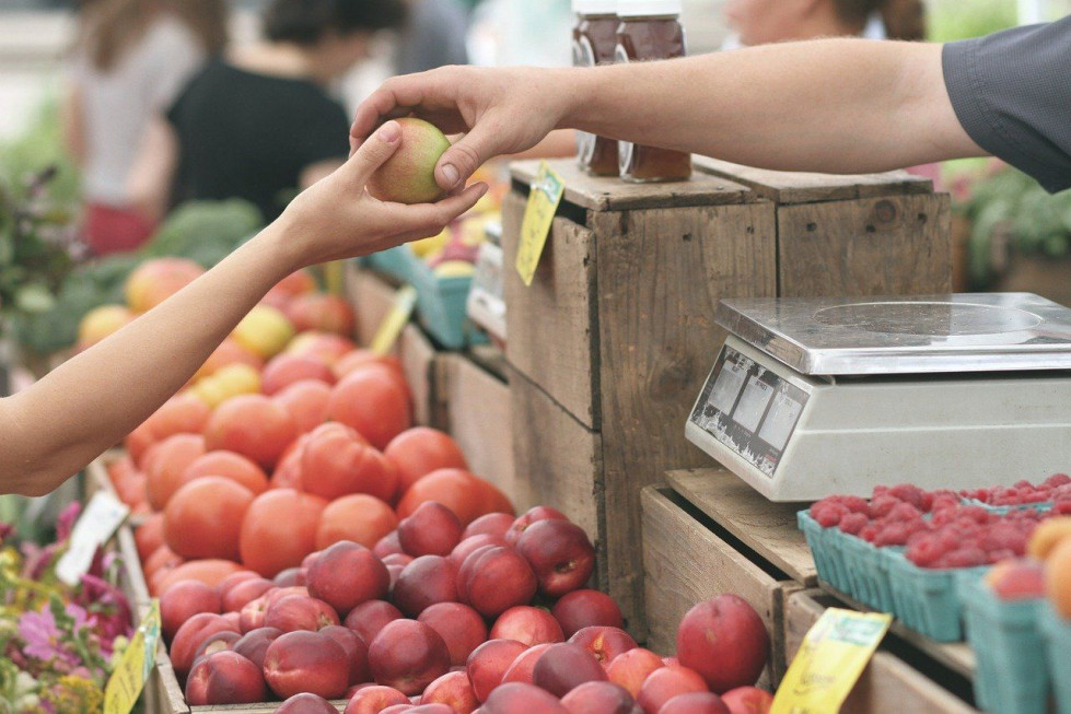 Los encuestados prefieren a las marcas inclusivas y respetuosas con el medio ambiente.