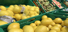 Limón en la sección Fruta y Verdura de Mercadona.