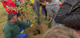 Plantación de árboles anual que la empresa realiza junto a grupos de escolares para concienciar sobre los efectos del cambio climático.