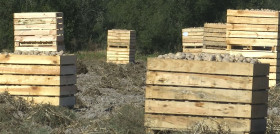 En tienda se ha reforzado la visibilidad de esta variedad de patata para que el consumidor sea consciente de que al comprarla está colaborando con los agricultores gallegos.