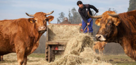 En la actualidad, la compañía colabora con un total de 977 proveedores de Galicia, Asturias y Castilla y León, lo que supone un incremento del 10% respecto al año anterior.