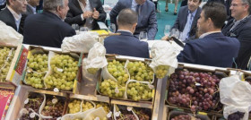 Los expositores han crecido un 20% con respecto al año anterior.