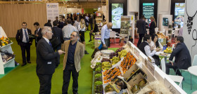 Se espera que 1.200 empresas provenientes de 40 países participen en Fruit Attraction 2016.