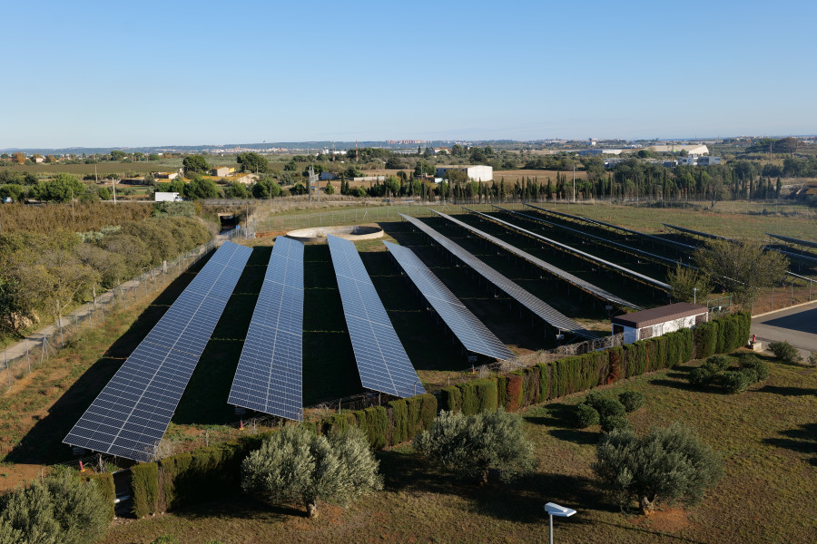 Parque solar Nestlé Reus