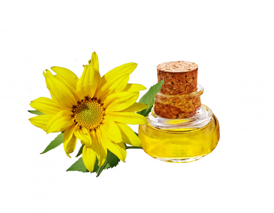 Plant flower yellow sunflower product oil 882383 pxhere