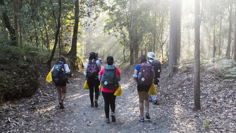 Camino del reciclaje 1