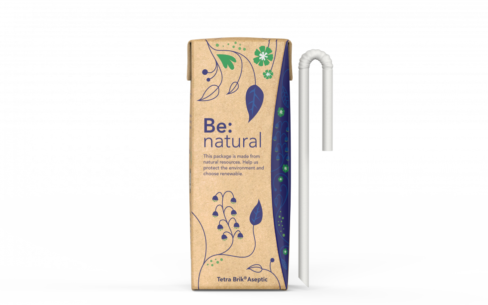 Envase Tetra Pak  Craft