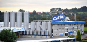 Pontedeume Leche Celta