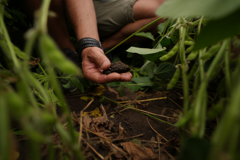 AN2123   Garden Gourmet impulsa la transición hacia una agricultura regenerativa