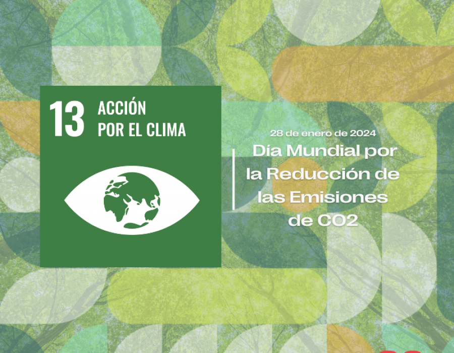 Día Mundial por la Reducción de las Emisiones de CO2