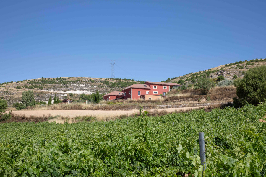 Bodega Cantovera   julio 2024 (1)