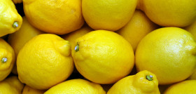 Lemons 2039830 1280