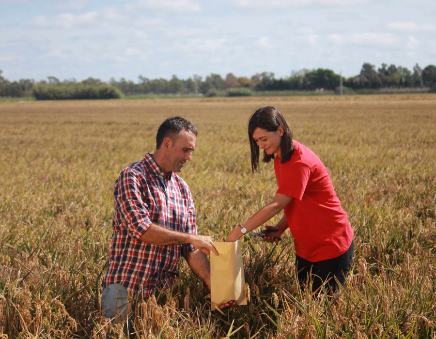 Foto.  Kellogg’s reivindica el origen local de su producción