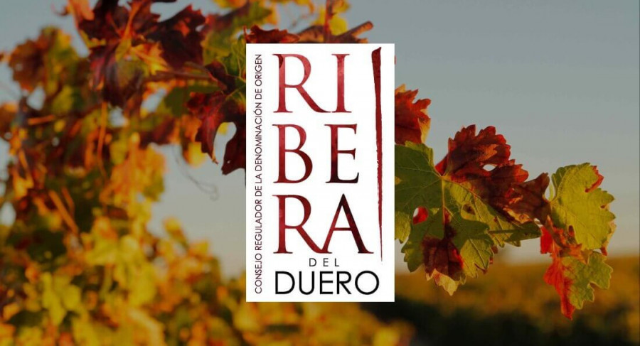 Ribera logo