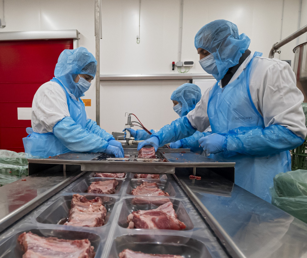 Trabajadores de Cascajares en la nueva fábrica de Dueñas