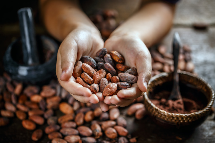 Cacao